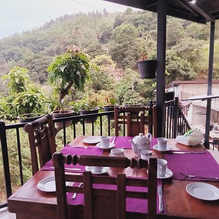 Kandy Ivy Mountain View Resort Dış mekan fotoğraf