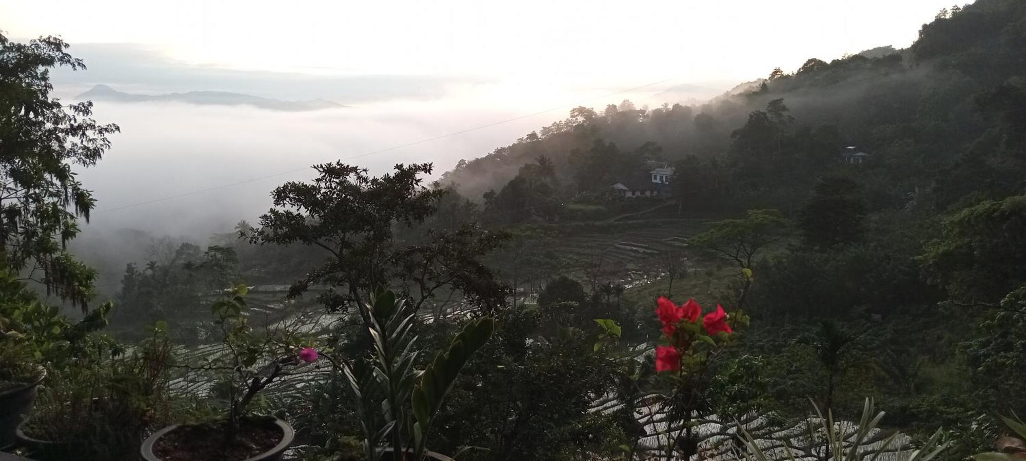 Kandy Ivy Mountain View Resort Oda fotoğraf