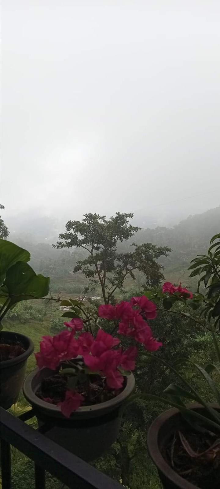 Kandy Ivy Mountain View Resort Dış mekan fotoğraf