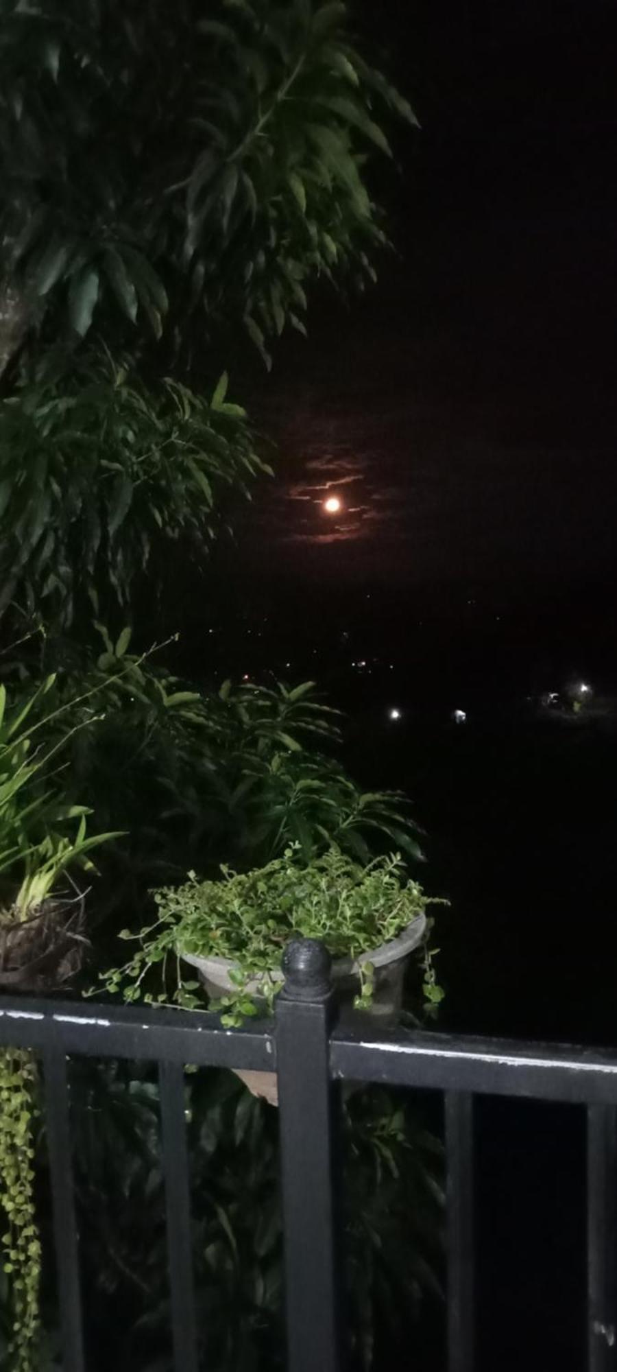 Kandy Ivy Mountain View Resort Oda fotoğraf