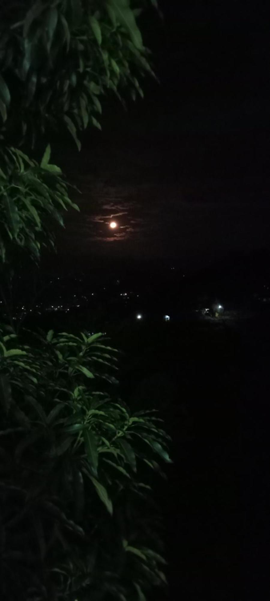 Kandy Ivy Mountain View Resort Oda fotoğraf